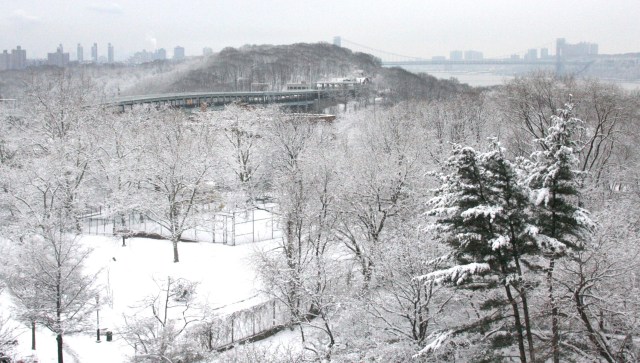 New York, Winter in Park 4.