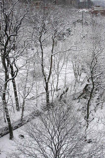 New York, Winter in Park