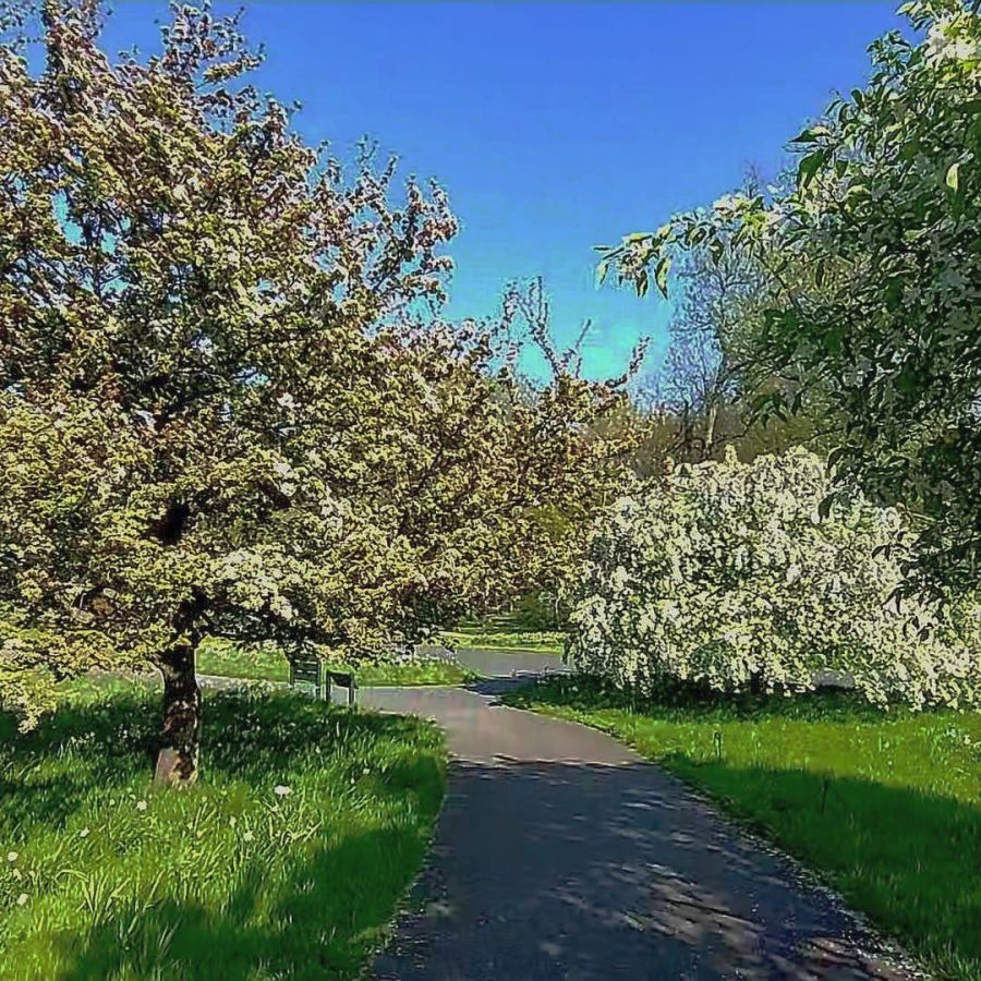 New York - Bronx - Botanic Garden